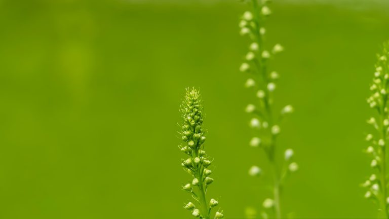 Photo Keywords: sustainable construction, design, ecology Relevant image: Green building