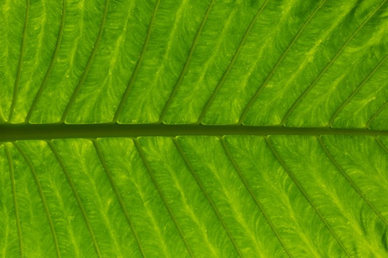 Photo Sustainable construction: Benefits Image: Green building