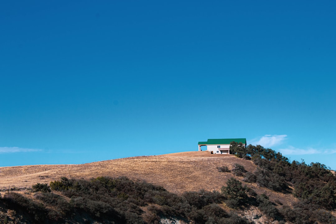 Photo Green roof