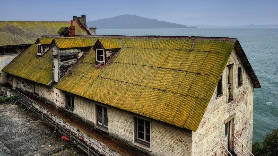 Photo Green roof