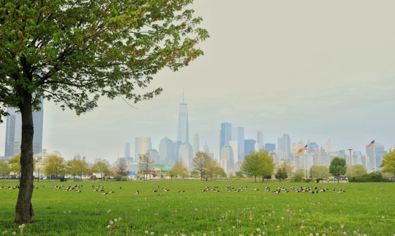Photo Urban park