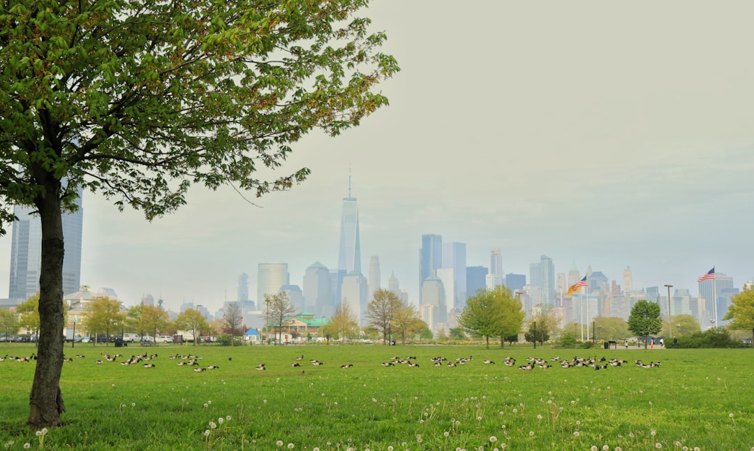Photo Urban park