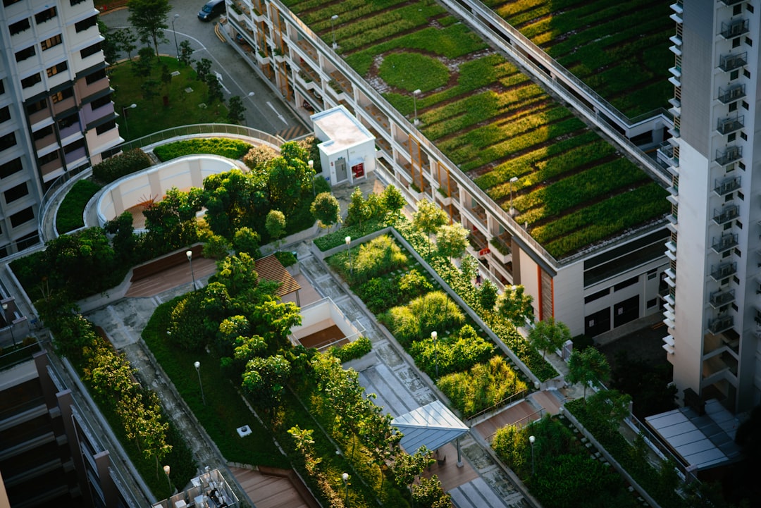 Photo Green roof