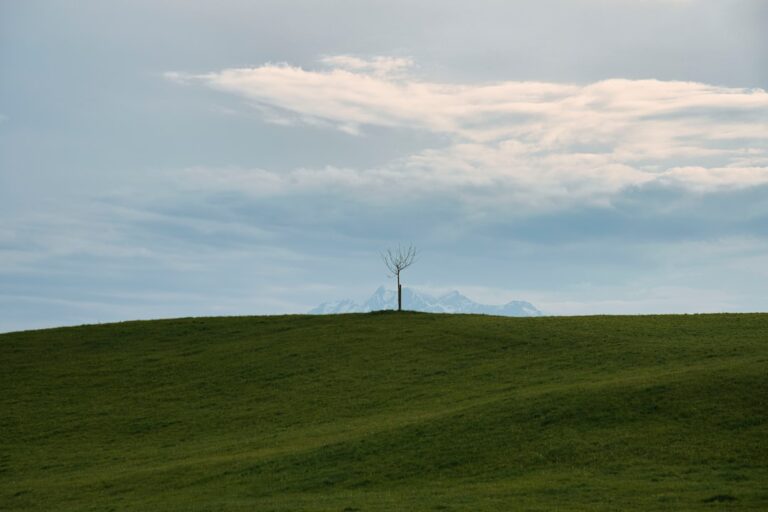 Budowa energooszczędnych szklarni: innowacyjne rozwiązania dla rolnictwa 1 Photo energooszczędne szklarnie