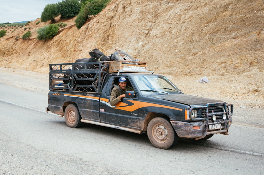 Photo geological construction services